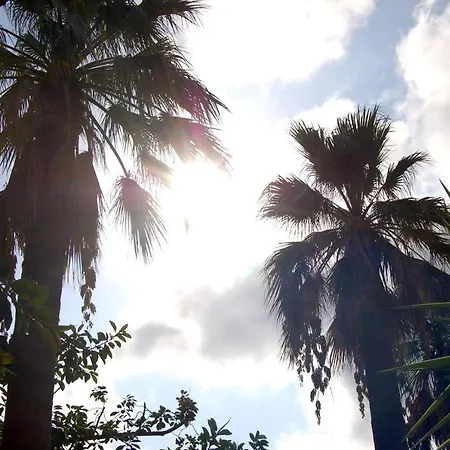 Il Giardino Del Sole