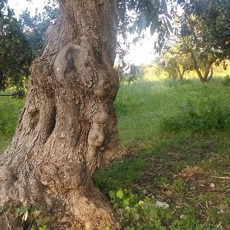 Vakantieboerderij Il Giardino Del Sole Agnone Bagni