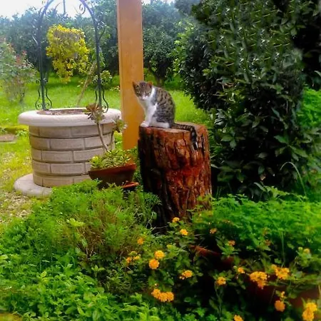 Фермерский дом Il Giardino Del Sole