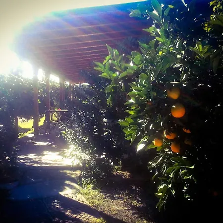Il Giardino Del Sole Vakantieboerderij Agnone Bagni