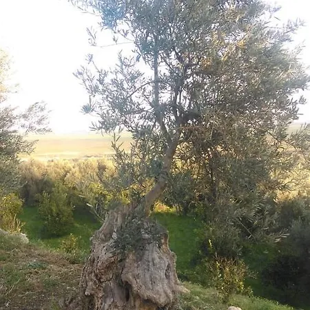 Il Giardino Del Sole Vakantieboerderij