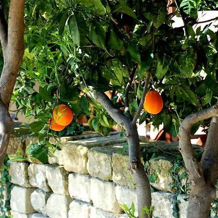Vakantieboerderij Il Giardino Del Sole