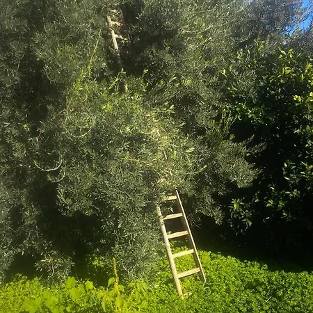 Vakantieboerderij Il Giardino Del Sole Agnone Bagni