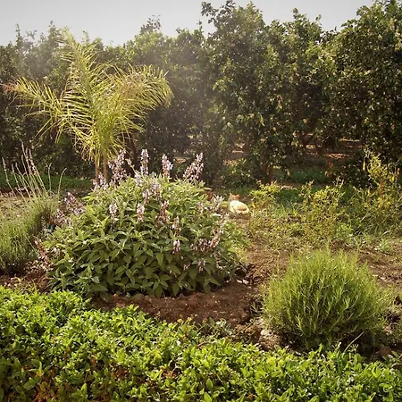 Il Giardino Del Sole Vakantieboerderij Agnone Bagni