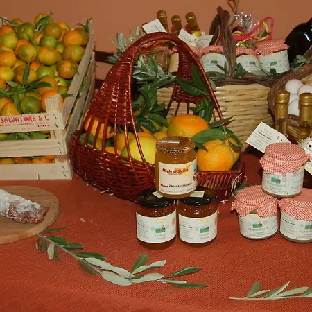 Il Giardino Del Sole Vakantieboerderij