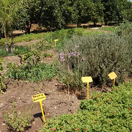 Il Giardino Del Sole مزرعة للإقامة
