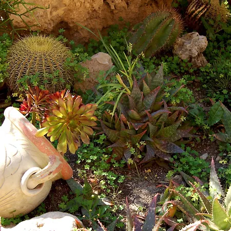 Il Giardino Del Sole أغنون باني