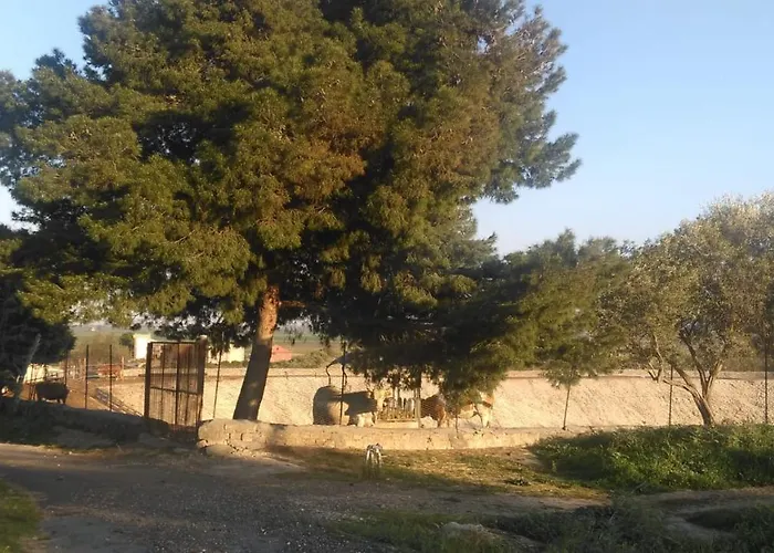 农家乐 Il Giardino Del Sole *