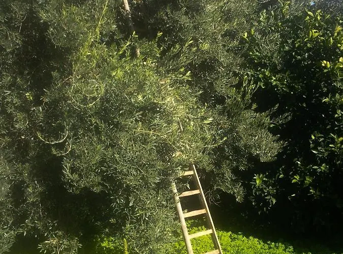 农家乐 Il Giardino Del Sole 巴尼阿尼奥内