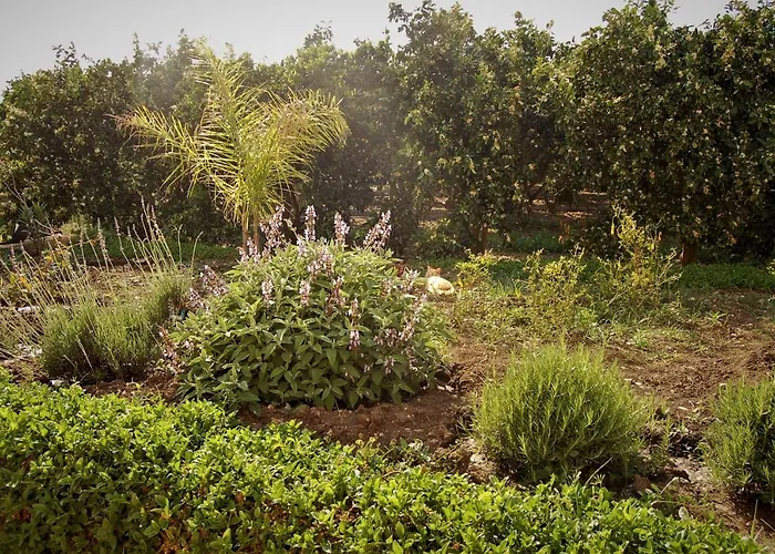 Il Giardino Del Sole 农家乐 巴尼阿尼奥内