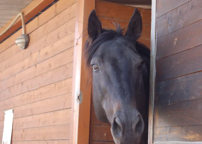 Il Giardino Del Sole 农家乐