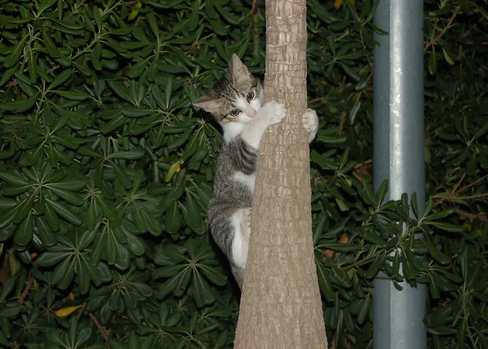 Il Giardino Del Sole *