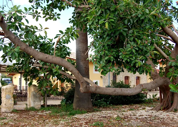 Il Giardino Del Sole 农家乐 巴尼阿尼奥内